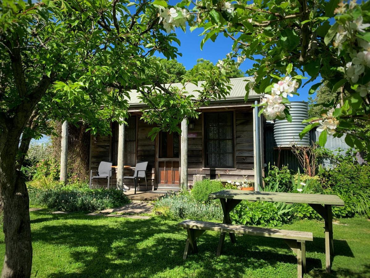 Cherry Plum Cottages بور فيري المظهر الخارجي الصورة