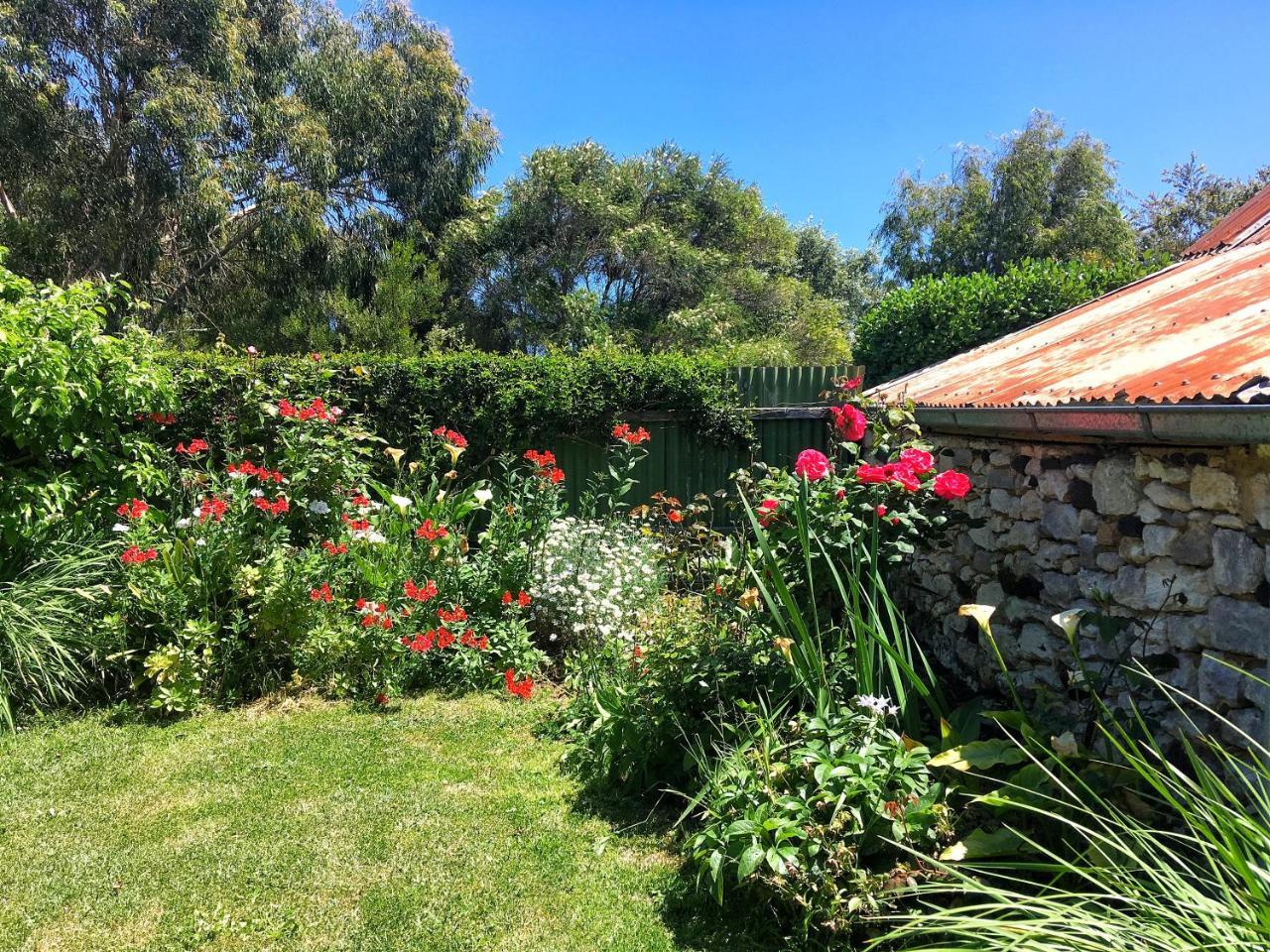 Cherry Plum Cottages بور فيري المظهر الخارجي الصورة