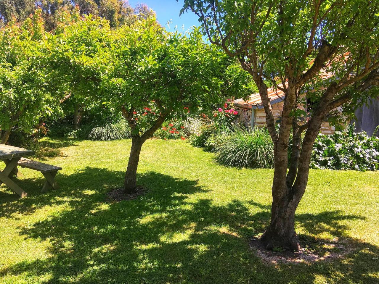 Cherry Plum Cottages بور فيري المظهر الخارجي الصورة