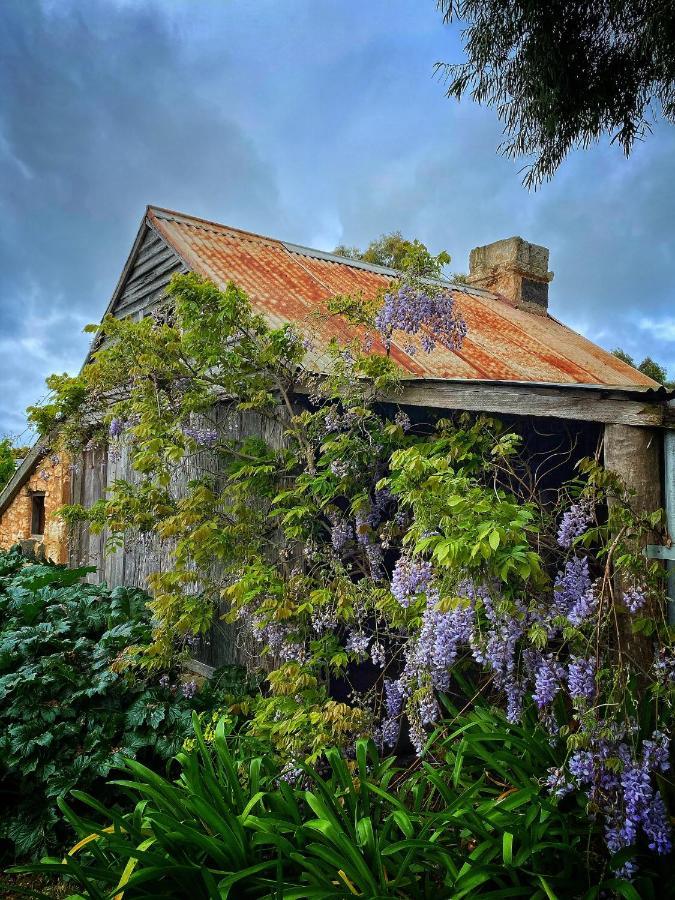 Cherry Plum Cottages بور فيري المظهر الخارجي الصورة